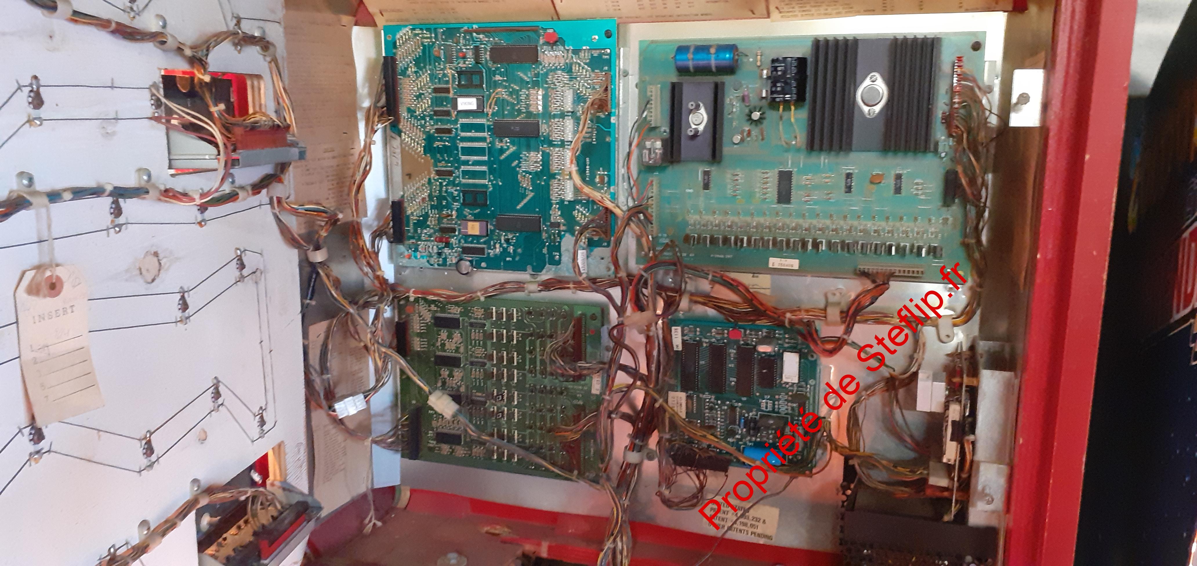 Flipper Viking – Image 3