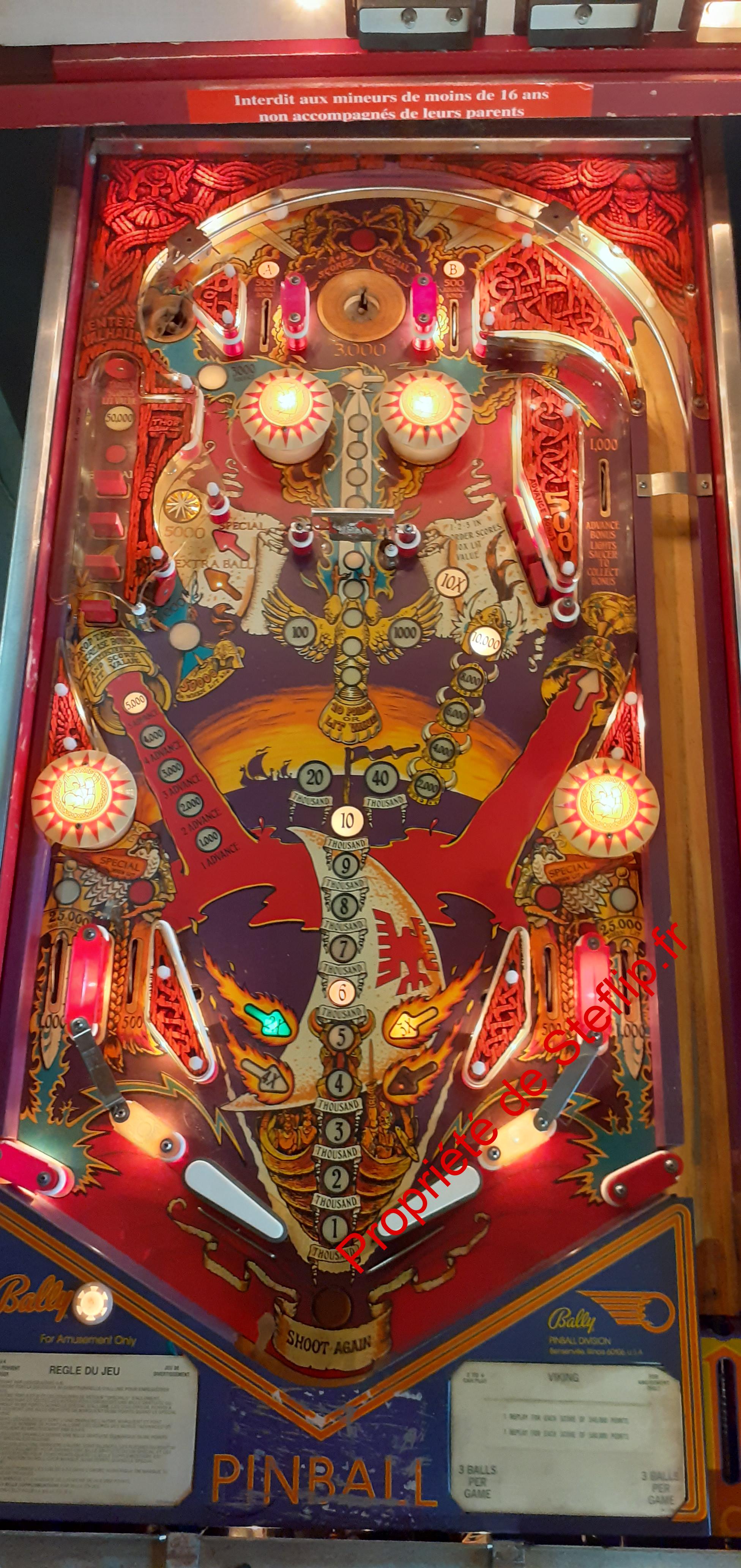 Flipper Viking – Image 2